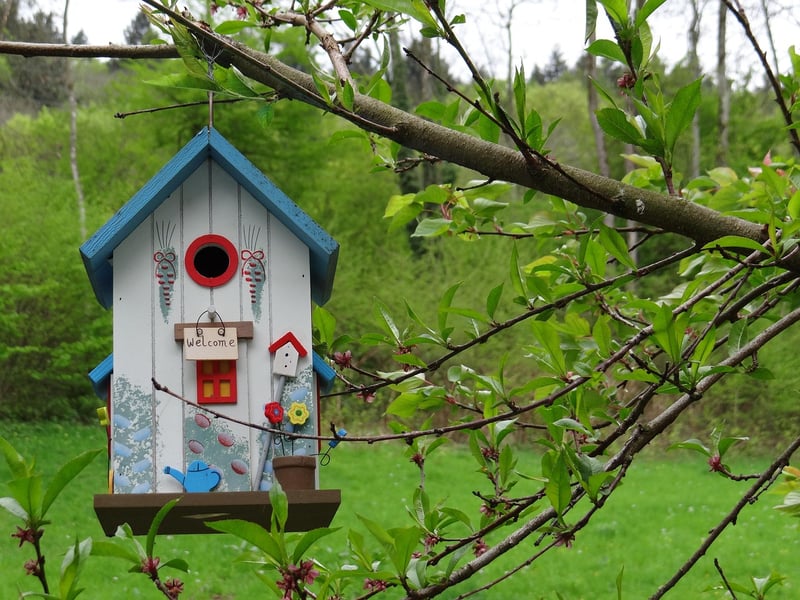 Treehouse Lodge